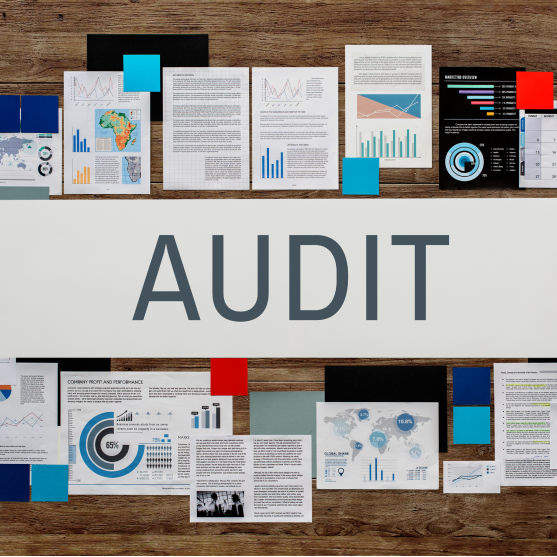Audit